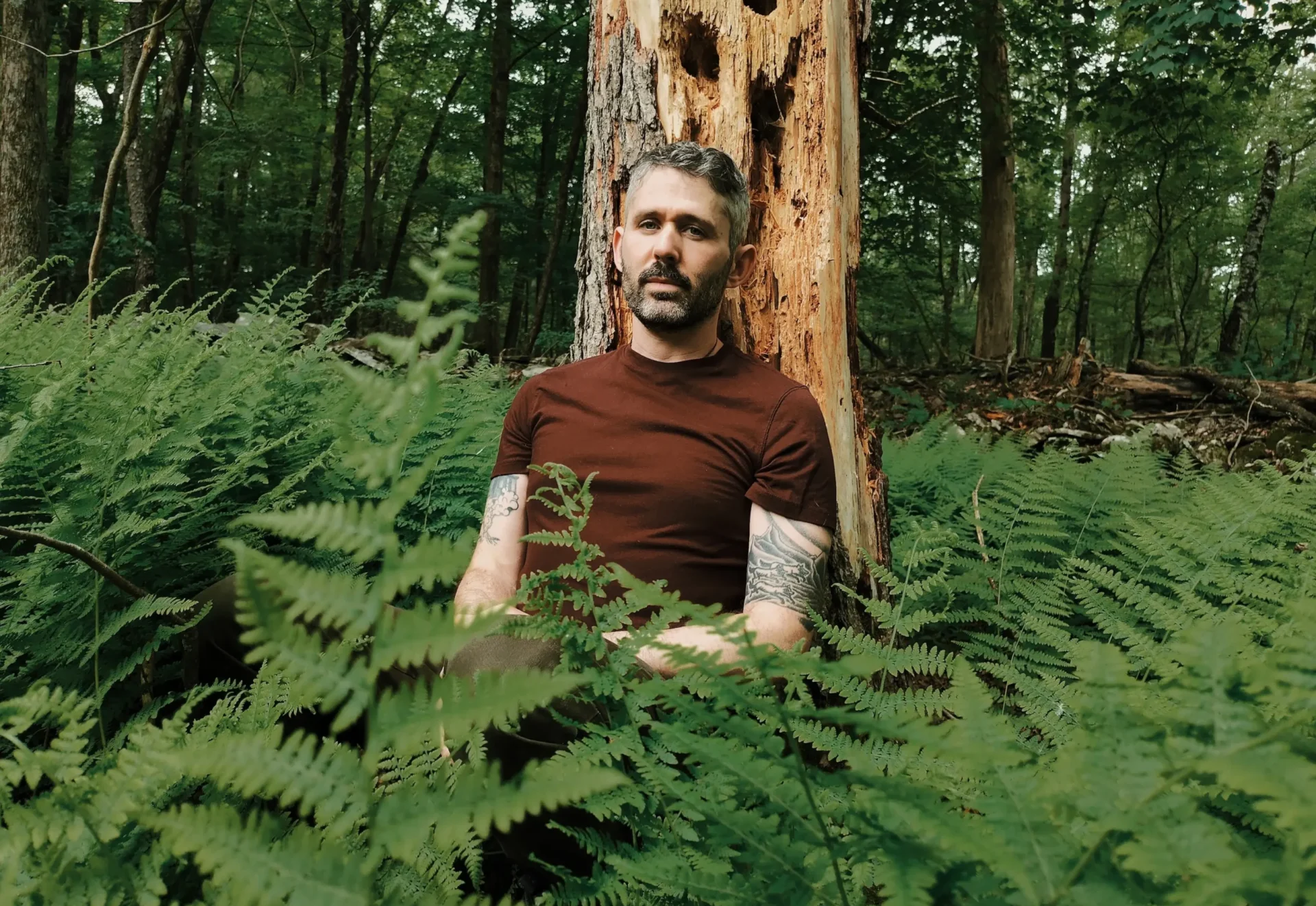 The Antlers
