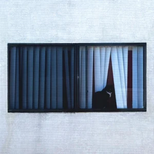 Sega Bodega, I Created the Universe so That Life Could Create a Language So Complex, Just to Say How Much I Love You