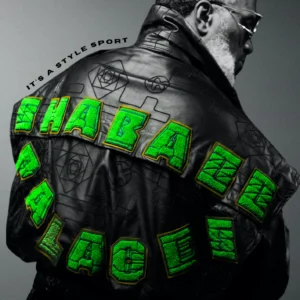 Shabazz Palaces It's a Style Sport artwork