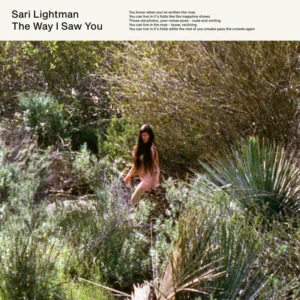 The Way I Saw You cover artwork