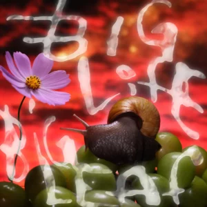 big life big leaf Artwork