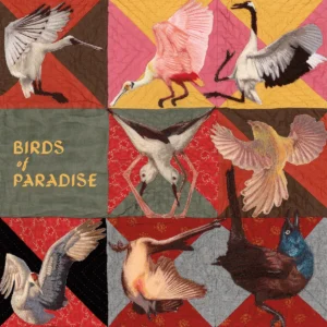 View of 6 Albums Out Today to Listen To: Bleachers, Thomas Dollbaum, Lowertown ...