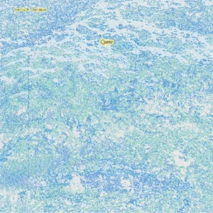 Cyano album cover