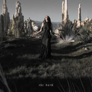 The Dark cover