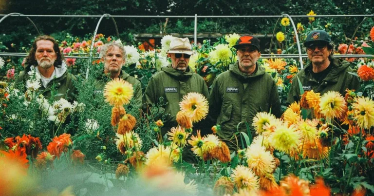 Super Furry Animals Announce First Tour in a Decade
