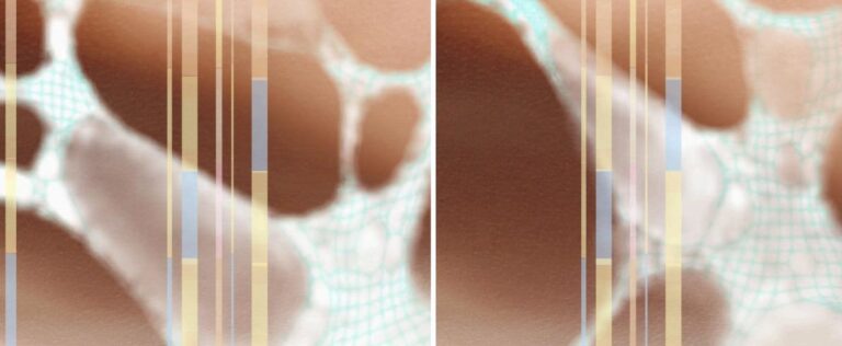 Episkin: The Construction of Feminist Art by Lynn Pan from a Cyborg Perspective