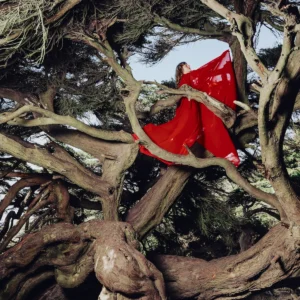 nestled in tangles