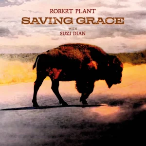 Saving Grace album cover