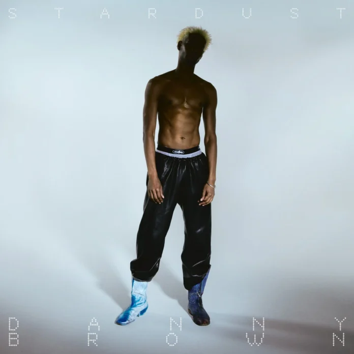 Stardust album cover
