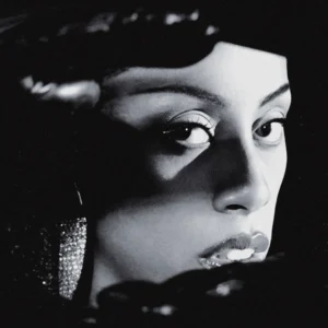 through the wall cover