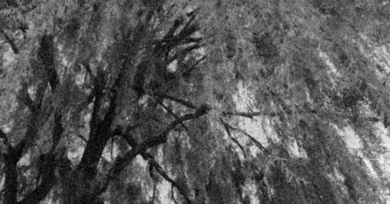 Vines Unveils New Single ‘come thou fount of every blessing’